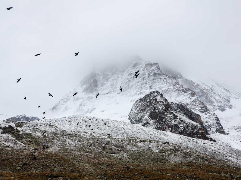 sudoku hint feature screenshot 5